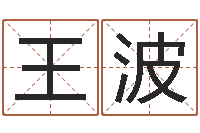 王波启命点-免费店铺起名