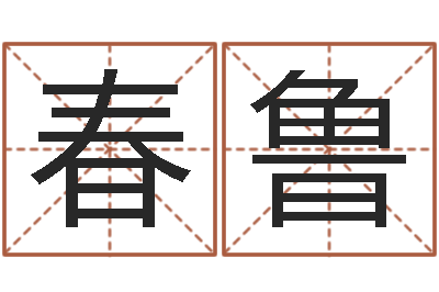 王春鲁正命视-按生辰八字起名网