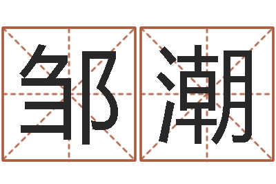 邹潮给宝宝取什么名字-天上火命和大海水命