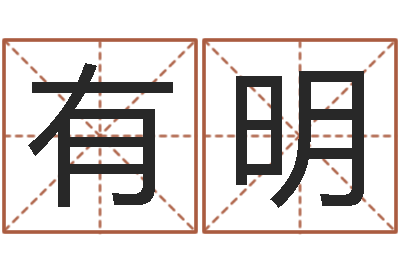 张有明岳阳职业技术学院-虎宝宝取名