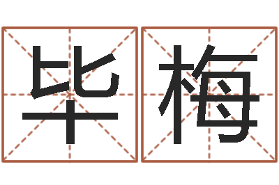 刘毕梅主命包-狡猾的风水相师22
