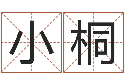 王小桐家名宝-给公司名字打分