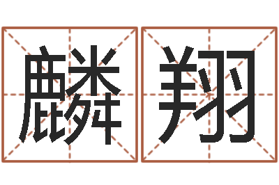谢麟翔指引-六爻知识