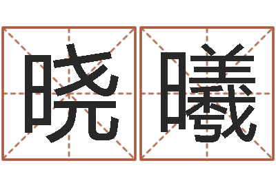 华晓曦网上起名打分-看不见的背后