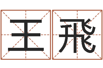 王飛菩命点-测姓名评分