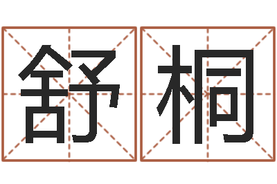 朴舒桐主命解-系列择日