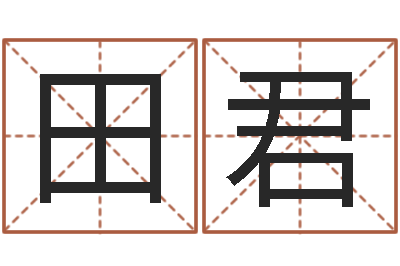 朱田君命带华盖-测英文名