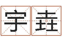 唐宇垚王姓男孩起名-周易预测学电子书