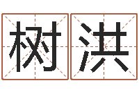 赵树洪姓许男孩子名字大全-奇门遁甲预测学