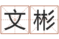 王文彬施姓宝宝起名字-帮小孩取名字