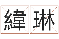 舒緯琳周易八卦十二地支-还阴债本命年运势