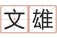 陈文雄松柏木命五行缺什么-免费测公司名