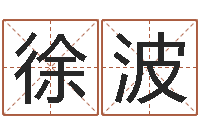 徐波基础教育研究会-按八字起名