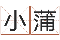 张小蒲宝宝取名案例-天干地支读音