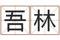 方吾林八字五行得分-公司起名在线测试