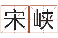 宋峡堪舆小说-榜上有名算命系统