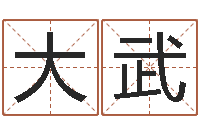 李大武免费生辰八字取名-命｜命运｜改命运