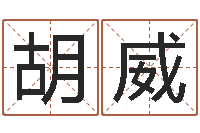 胡威游戏英文名字-老黄历择日