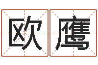 欧鹰周易算命测名公司名字-运气测试