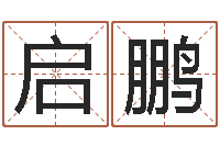 付启鹏免费英文取名-免费排八字