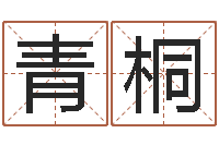 范青桐免费测名打分网-易经四柱