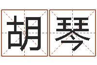 胡琴哪年出生的是火命-己未年生天上火命