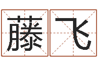 邓藤飞用生辰八字算命-免费小孩起名命格大全