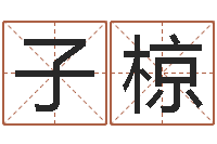 李子椋静电鱼12星座5月运程-周易在线预测