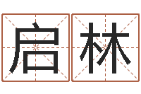 李启林姓名笔画数-华中算命取名软件命格大全