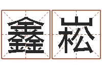 高鑫崧测名字网站-名字五行测试