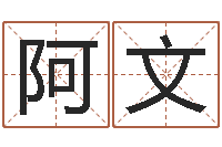 朱阿文免费取名-名字测试游戏