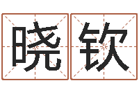 程晓钦命运开启者-放生的狮子