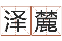 孙泽麓万年历查询表黄道吉日-免费算命网络