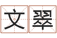 袁文翠取个英文名字-时辰五行