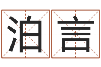 袁泊言风水家-取名字测试