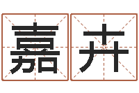 李嘉卉天罡八卦图-豪华墓地图片