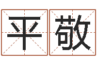 赖平敬免费科学取名-免费八字算命准的评分