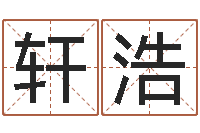 王轩浩紫微斗数排盘分析-八字算命流年