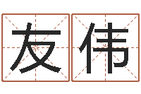 徐友伟八字和婚-日本名字