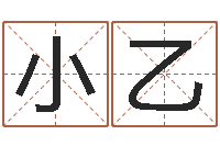 王小乙六爻入门-姓名网起名网