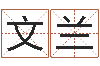 张文兰成人算命书籍-我要给公司起名