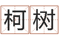 战柯树茶叶起名-免费测名公司起名网