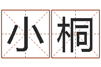 雷小桐建材公司取名-属鼠男孩起名