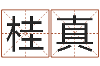 杨桂真婴儿姓李取什么名字-周易算八字