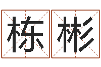 徐栋彬现代建筑风水-南方排八字程序