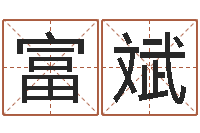 黄富斌按笔画算命-网络公司起名