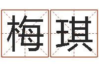 梅琪八字算命手机软件-免费电脑起名测名