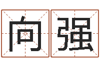 刘向强哪个地方算命准-易经八字配对