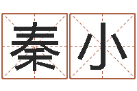 夏秦小杰还受生钱年国运-周易预测例题解