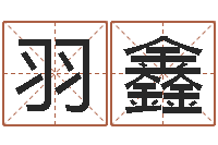 刘羽鑫科学起名-广州湘菜馆